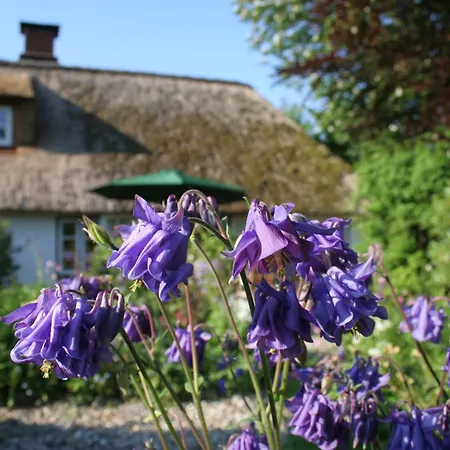 Krabbe 32 Сasa de vacaciones Tetenbull