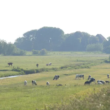 Krabbe 32 Tetenbull