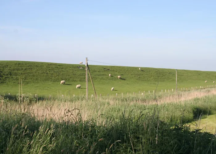 Krabbe 32 Дом отдыха